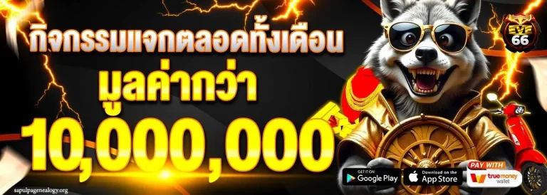 eve66 ทางเข้า